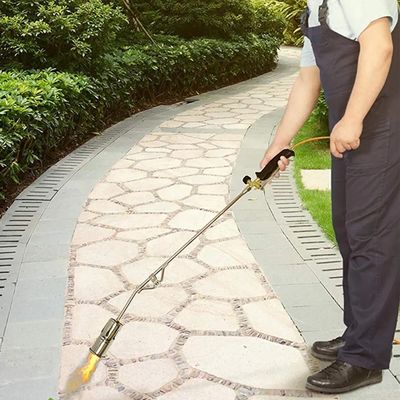 66KW Normal Heat Input Gas Propane Torch Weed Burner Killer for Garden and Roads